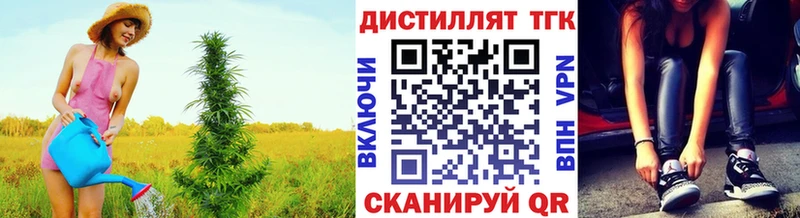 Дистиллят ТГК THC oil  закладки  Томилино 
